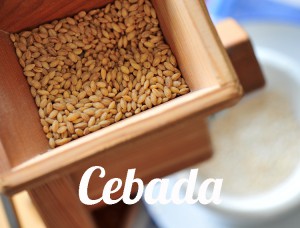 Cebada-5582-whatfoodcan