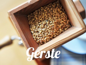 Gerste-5523-whatfoodcan