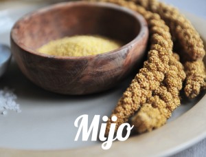 Mijo-2760-whatfoodcan