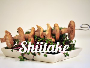 whatfoodcan_Shiitake