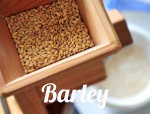 Barley-5582-whatfoodcan