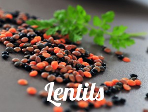 Lentils-0686-whatfoodcan