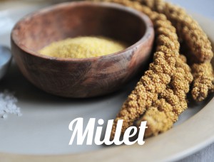 Millet-2760-whatfoodcan