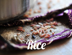 Rice-5170-whatfoodcan