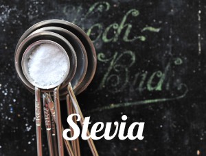 Stevia-2462-whatfoodcan