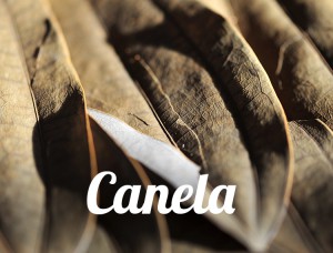 Canela-whatfoodcan