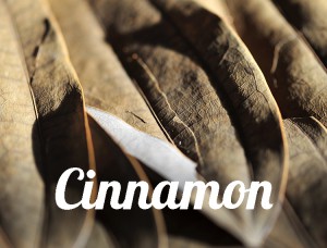 Cinnamon-whatfoodcan