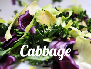cabbage_Whatfoodcan