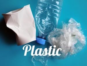 plastic-whatfoodcan