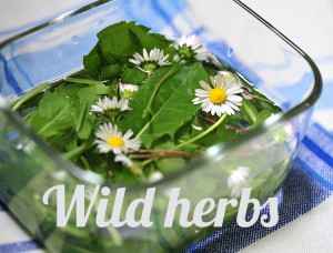 wildherbs_whatfoodcan