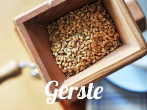 Gerste